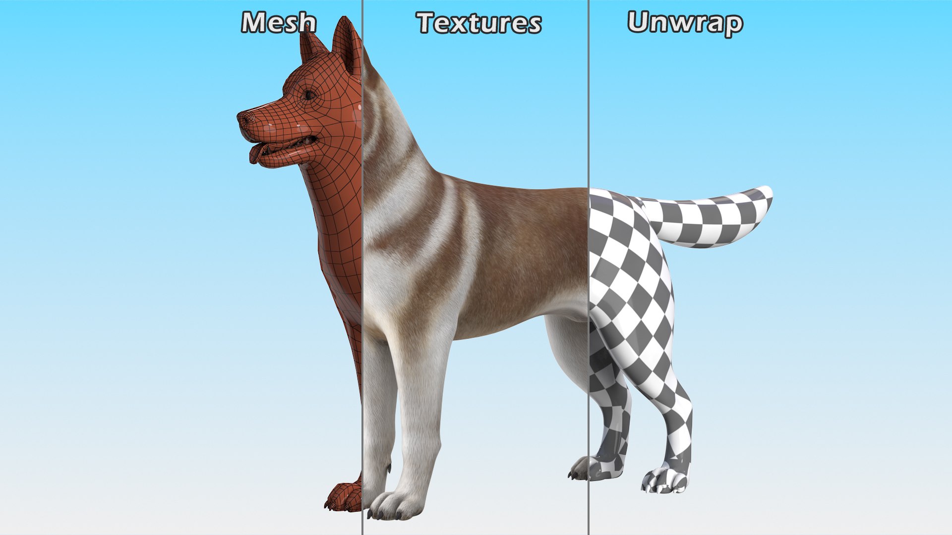 3D model Husky Dog Copper and White Coat Rigged for Maya https://p.turbosquid.com/ts-thumb/eM/TQ0tOp/yG/huskydogcopperandwhitecoatrigged3dsmodel030/jpg/1634861116/1920x1080/fit_q87/a85eea4b6db6896f43baf4bbf28ec14e48810648/huskydogcopperandwhitecoatrigged3dsmodel030.jpg