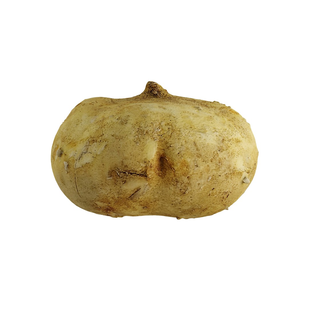 Jicama Model TurboSquid 2069961