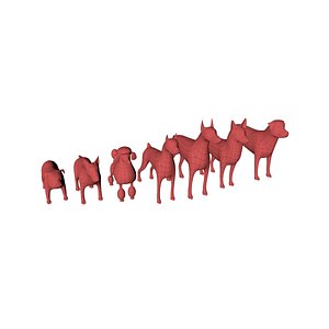Dogs base meshes