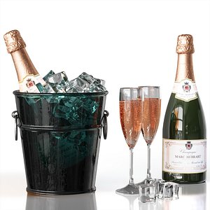 3D Champagne in a bucket with ice