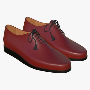 Leather Lace Up Shoes V8 3D