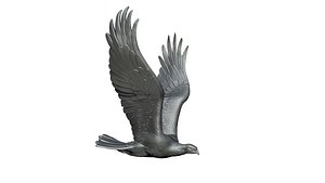 eagle 3D