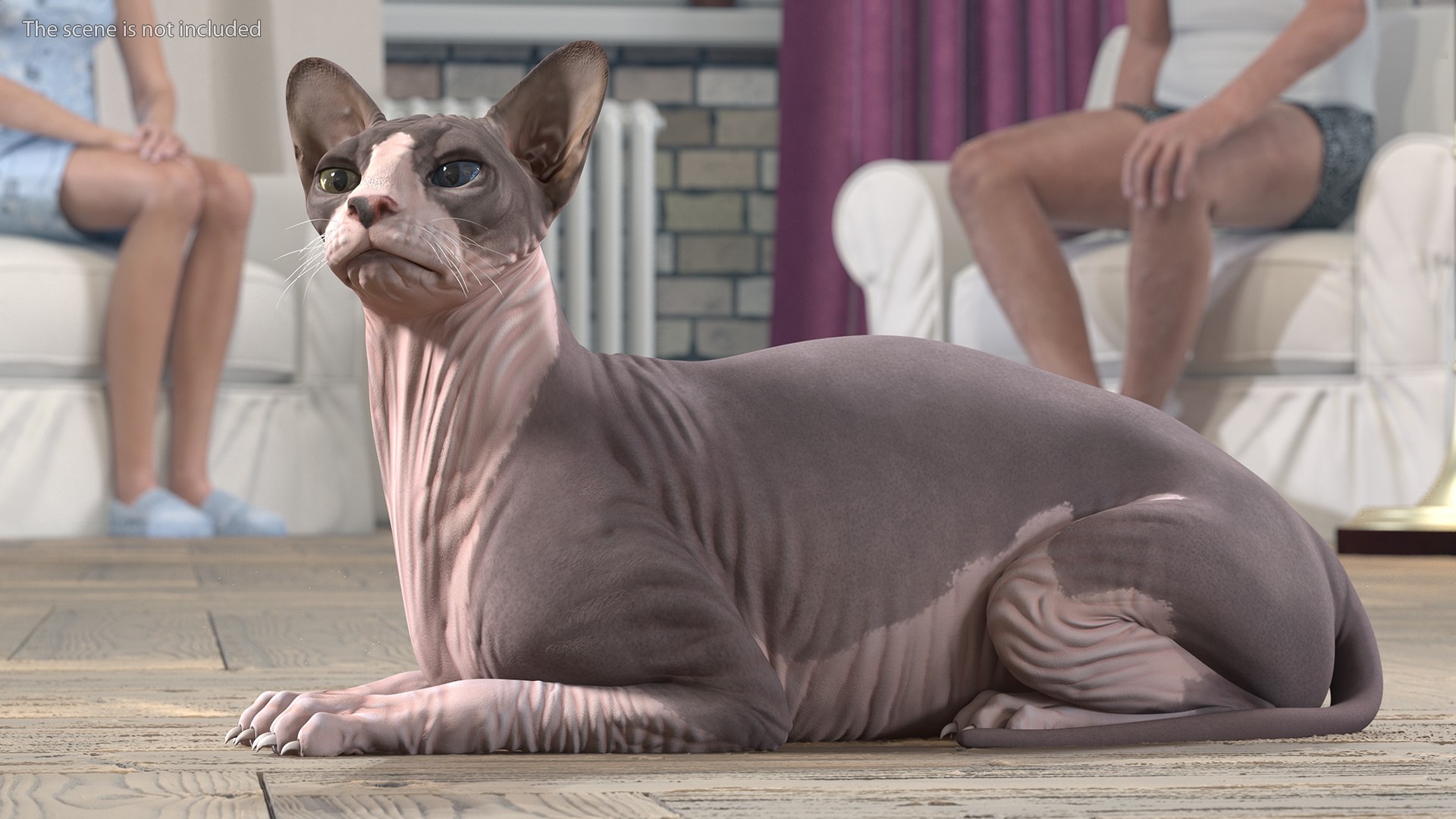3D Rigged Sphynx Cat with Cat Scratching Post Collection for Modo https://p.turbosquid.com/ts-thumb/eN/GATPSn/9F/riggedsphynxcatwithcatscratchingpostcollection3dsmodel017/jpg/1638291726/1920x1080/fit_q87/da34179943cd58c8f3867d86d26928c460a7c98a/riggedsphynxcatwithcatscratchingpostcollection3dsmodel017.jpg
