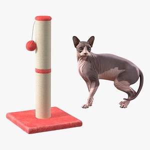 Rigged Sphynx Cat with Cat Scratching Post Collection for Modo