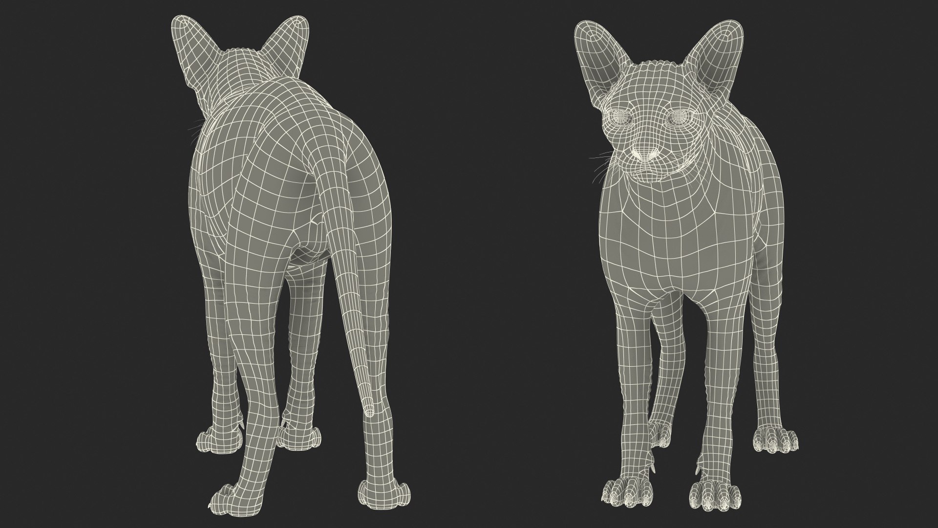 3D Rigged Sphynx Cat with Cat Scratching Post Collection for Modo https://p.turbosquid.com/ts-thumb/eN/GATPSn/HZ/riggedsphynxcatwithcatscratchingpostcollection3dsmodel034/jpg/1638291773/1920x1080/fit_q87/c30cada9fd9ccedcf74fcf40d4fa75e6d842b86b/riggedsphynxcatwithcatscratchingpostcollection3dsmodel034.jpg
