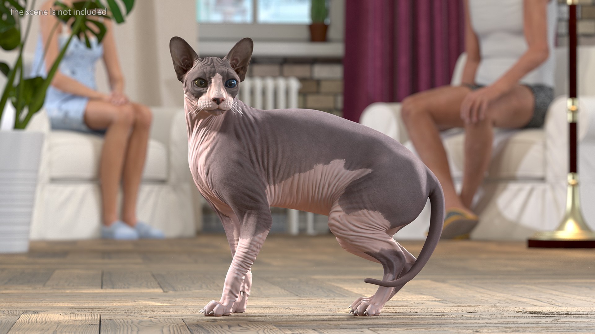 3D Rigged Sphynx Cat with Cat Scratching Post Collection for Modo https://p.turbosquid.com/ts-thumb/eN/GATPSn/Ox/riggedsphynxcatwithcatscratchingpostcollection3dsmodel016/jpg/1638291723/1920x1080/fit_q87/030664c62be2364761e107329a9e2df6367034b0/riggedsphynxcatwithcatscratchingpostcollection3dsmodel016.jpg