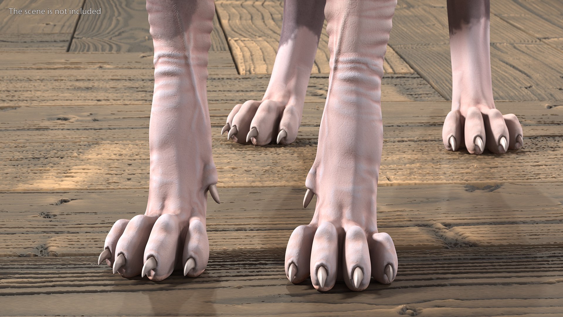 3D Rigged Sphynx Cat with Cat Scratching Post Collection for Modo https://p.turbosquid.com/ts-thumb/eN/GATPSn/UN/riggedsphynxcatwithcatscratchingpostcollection3dsmodel023/jpg/1638291743/1920x1080/fit_q87/e823370679a06d97a8575918606fd8508f345ae5/riggedsphynxcatwithcatscratchingpostcollection3dsmodel023.jpg