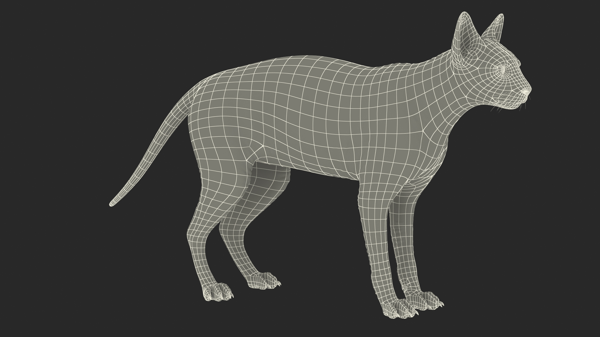 3D Rigged Sphynx Cat with Cat Scratching Post Collection for Modo https://p.turbosquid.com/ts-thumb/eN/GATPSn/iH/sphynx_cat_with_heterochromia_rigged_361/jpg/1638292247/1920x1080/turn_fit_q99/cc2b6cbce05036c38df3e939211ac9a90a4de729/sphynx_cat_with_heterochromia_rigged_361-1.jpg