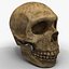 Neanderthal Skull