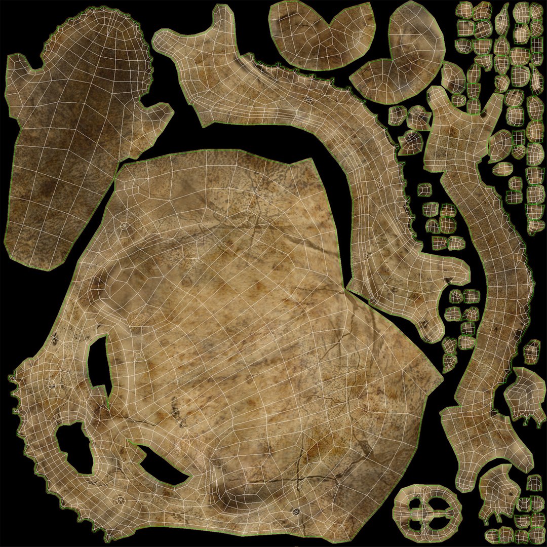 max neanderthal skull anatomy https://p.turbosquid.com/ts-thumb/eN/JHhBE6/ZHSRaW4t/neanderthalskull_3/jpg/1377044891/1920x1080/fit_q87/e92516ed1e32f8efb0a7c62d5ded353c67761b3f/neanderthalskull_3.jpg