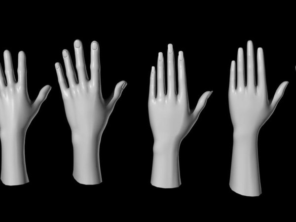 free human hands feet foot 3d model
