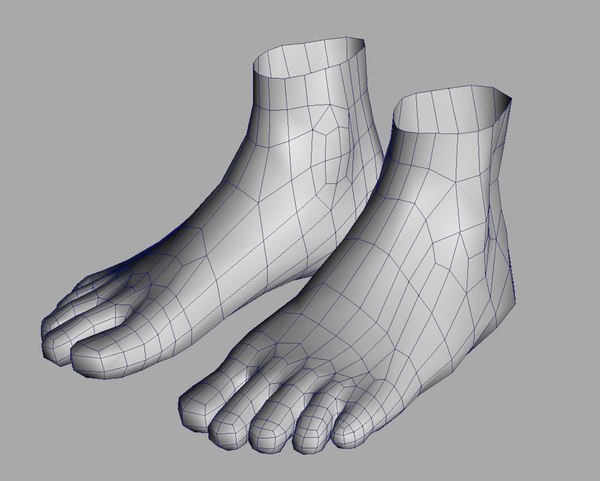free human hands feet foot 3d model