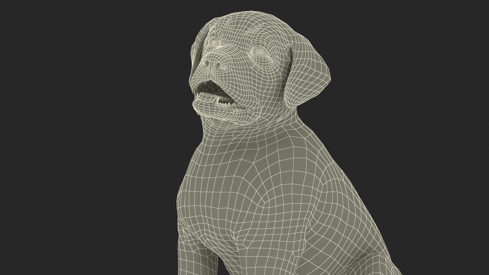 3D Brown Labrador Retriever Puppy Sitting Pose Model - TurboSquid 2411536