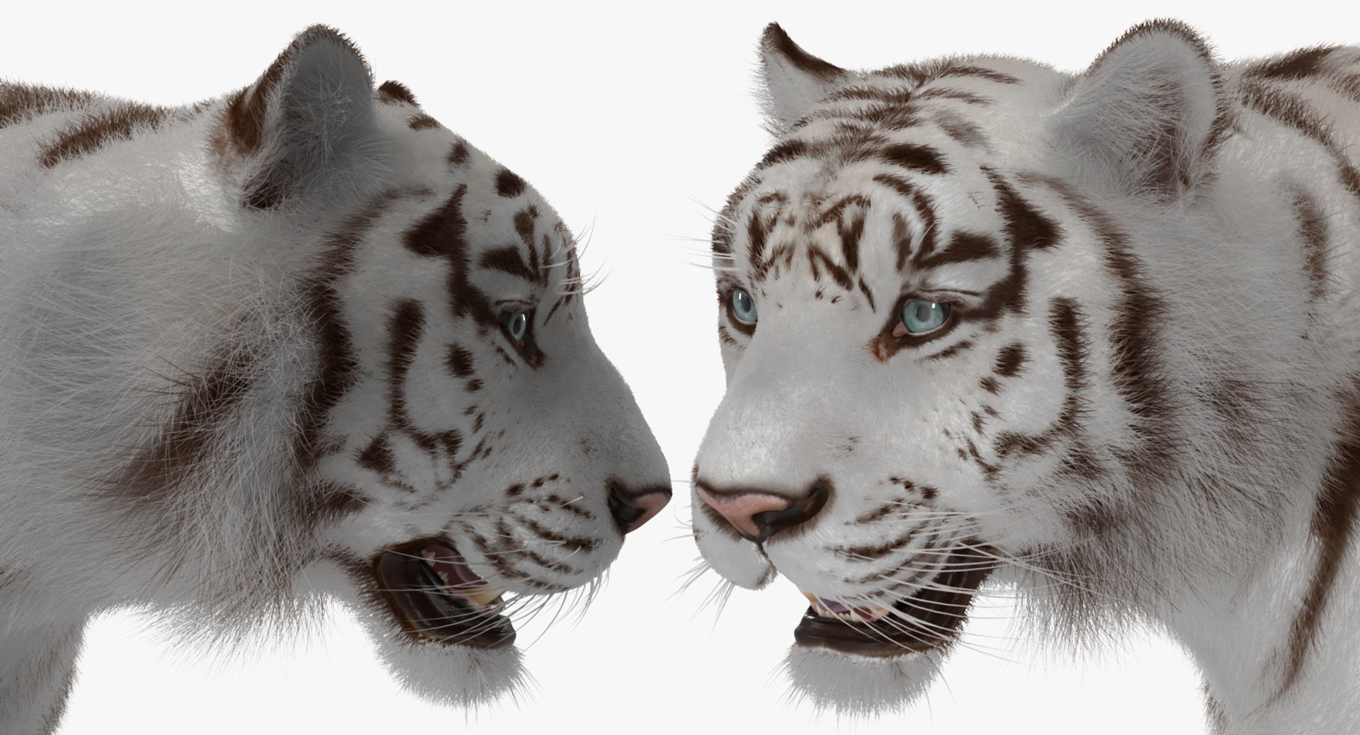 3D white tiger walkig pose model https://p.turbosquid.com/ts-thumb/eN/UM1zo1/A8mKOMm0/whitetigerwalkigposewithfur3dsmodel015/jpg/1522720041/1920x1080/fit_q87/9ee3a5d7ced5b30f623e458f8cfd20a66ce080d5/whitetigerwalkigposewithfur3dsmodel015.jpg
