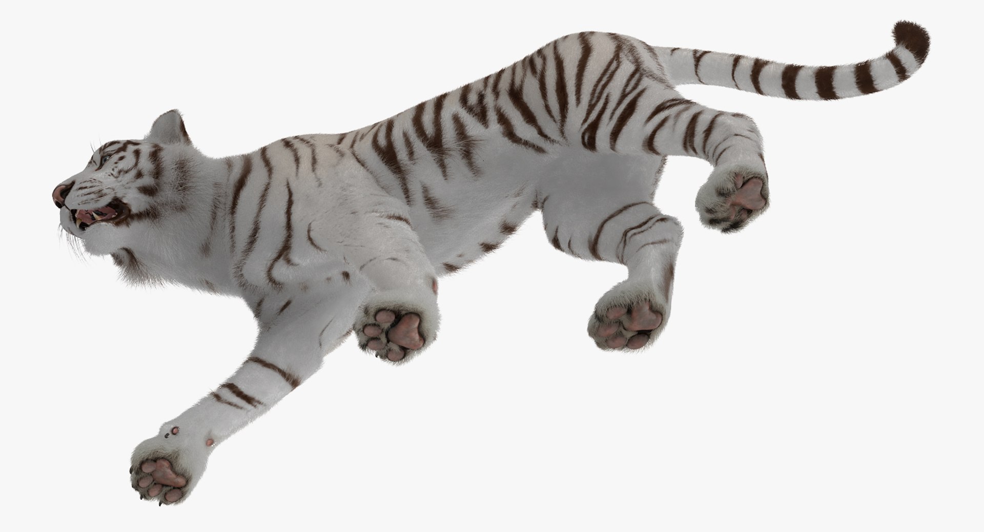 3D white tiger walkig pose model https://p.turbosquid.com/ts-thumb/eN/UM1zo1/GBDDMO7j/whitetigerwalkigposewithfur3dsmodel008/jpg/1522720004/1920x1080/fit_q87/cf1f0b5ea6c58d77393ec0485733a4ffd1100e8e/whitetigerwalkigposewithfur3dsmodel008.jpg