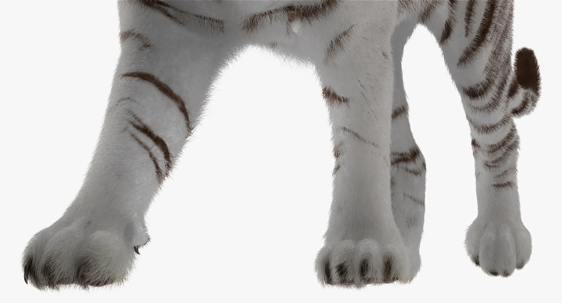 3D white tiger walkig pose model https://p.turbosquid.com/ts-thumb/eN/UM1zo1/RR9kL9HR/whitetigerwalkigposewithfur3dsmodel012/jpg/1522720029/1920x1080/fit_q87/d8d167b8cbbb8fcdde3a010f67834ed1dac644ea/whitetigerwalkigposewithfur3dsmodel012.jpg