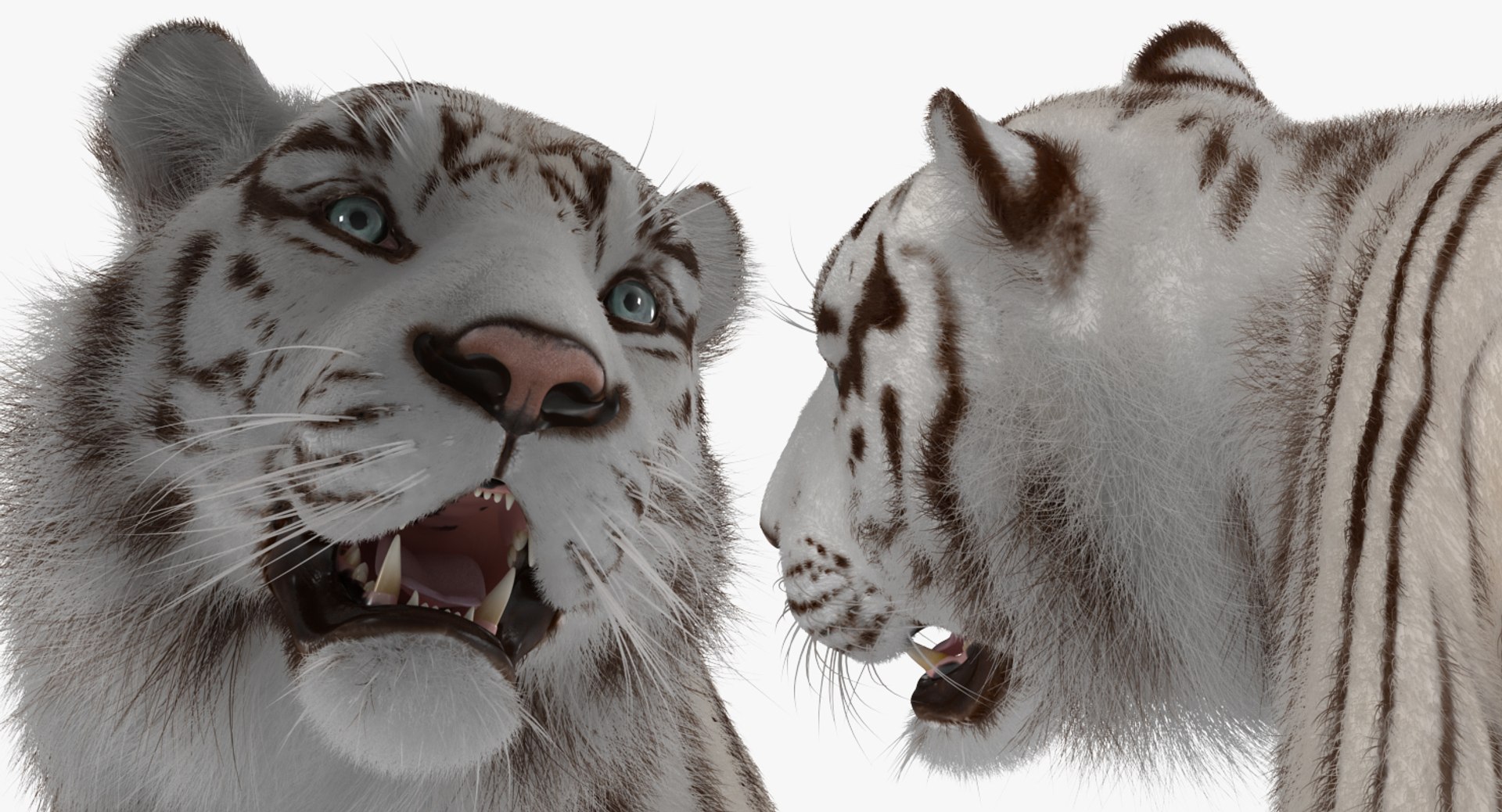 3D white tiger walkig pose model https://p.turbosquid.com/ts-thumb/eN/UM1zo1/YbuublK7/whitetigerwalkigposewithfur3dsmodel016/jpg/1522720045/1920x1080/fit_q87/9a655152633ab7c2776b28881d77afd6b8af0aac/whitetigerwalkigposewithfur3dsmodel016.jpg