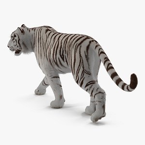 White Tiger Walkig Pose with Fur 3D Model