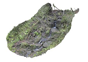 forest asset hd model