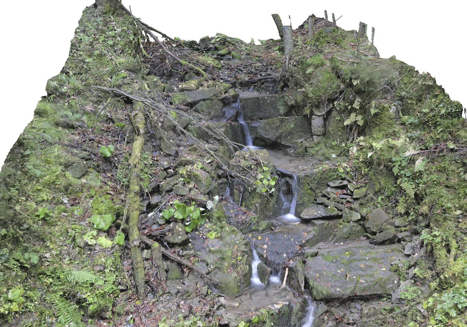 forest asset hd model https://p.turbosquid.com/ts-thumb/eN/ZaKr0B/x3lrrRQL/9890008/jpg/1603902531/1920x1080/fit_q87/05667965830e99b4a04b6a545f08e6c3ef8cbb37/9890008.jpg