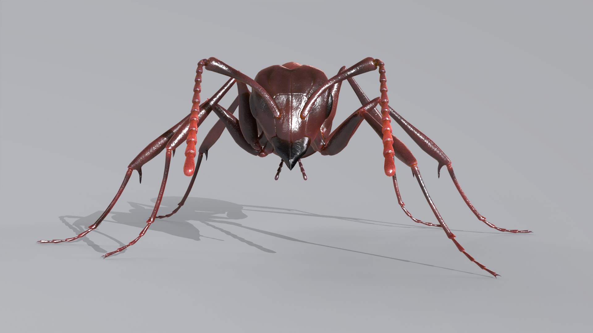 Ant Rigged Animated Red Black Insect Low Poly 3D Model - TurboSquid 2331282