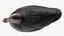 Señuelo de pato negro