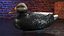 Señuelo de pato negro