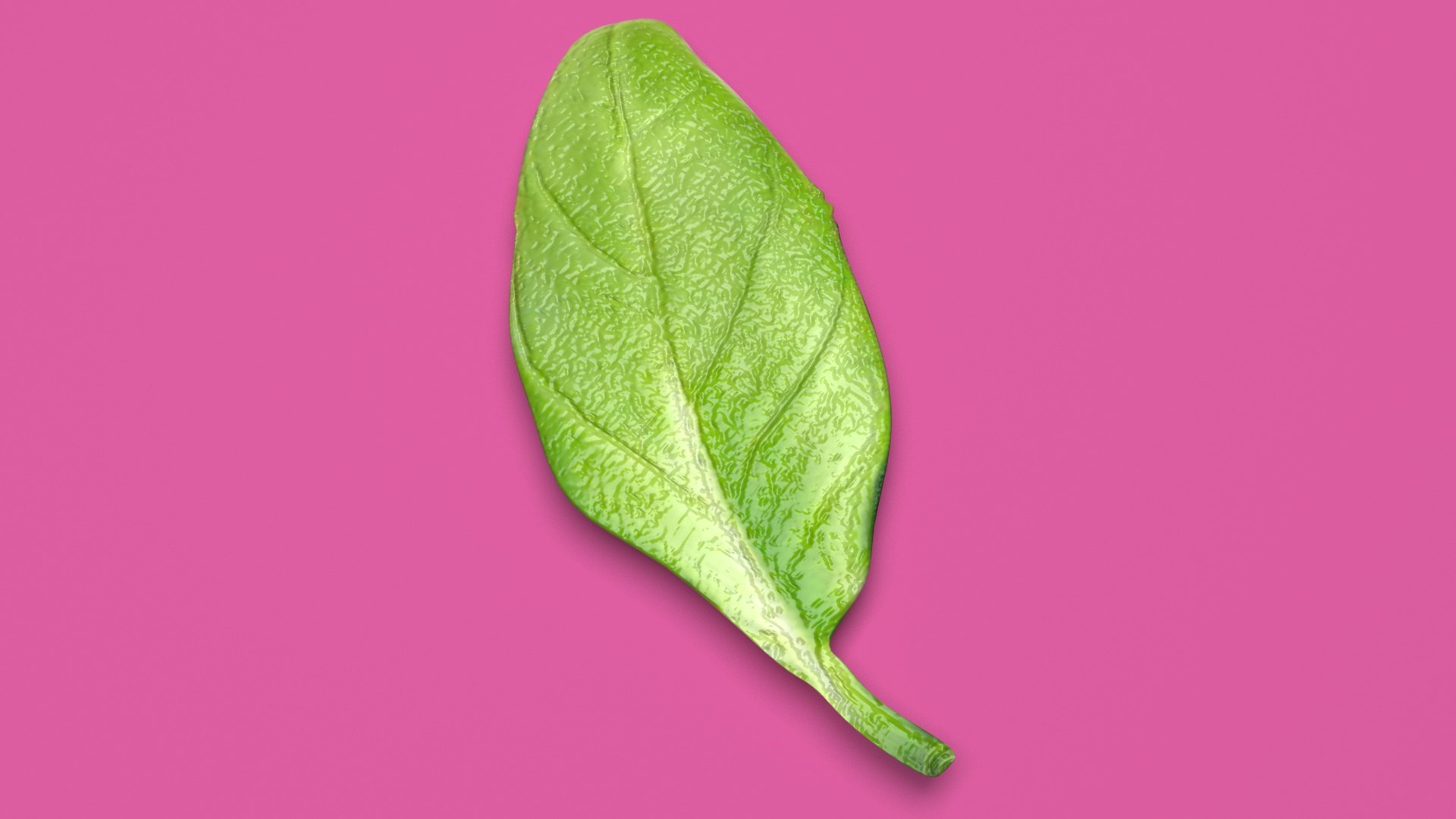 3D Fresh Basil Leaf https://p.turbosquid.com/ts-thumb/eN/qhrgSR/9s/basil6/jpg/1730660407/1920x1080/fit_q87/0559f5b3037b3e3394dad9d45cfee956ca2a9bdc/basil6.jpg