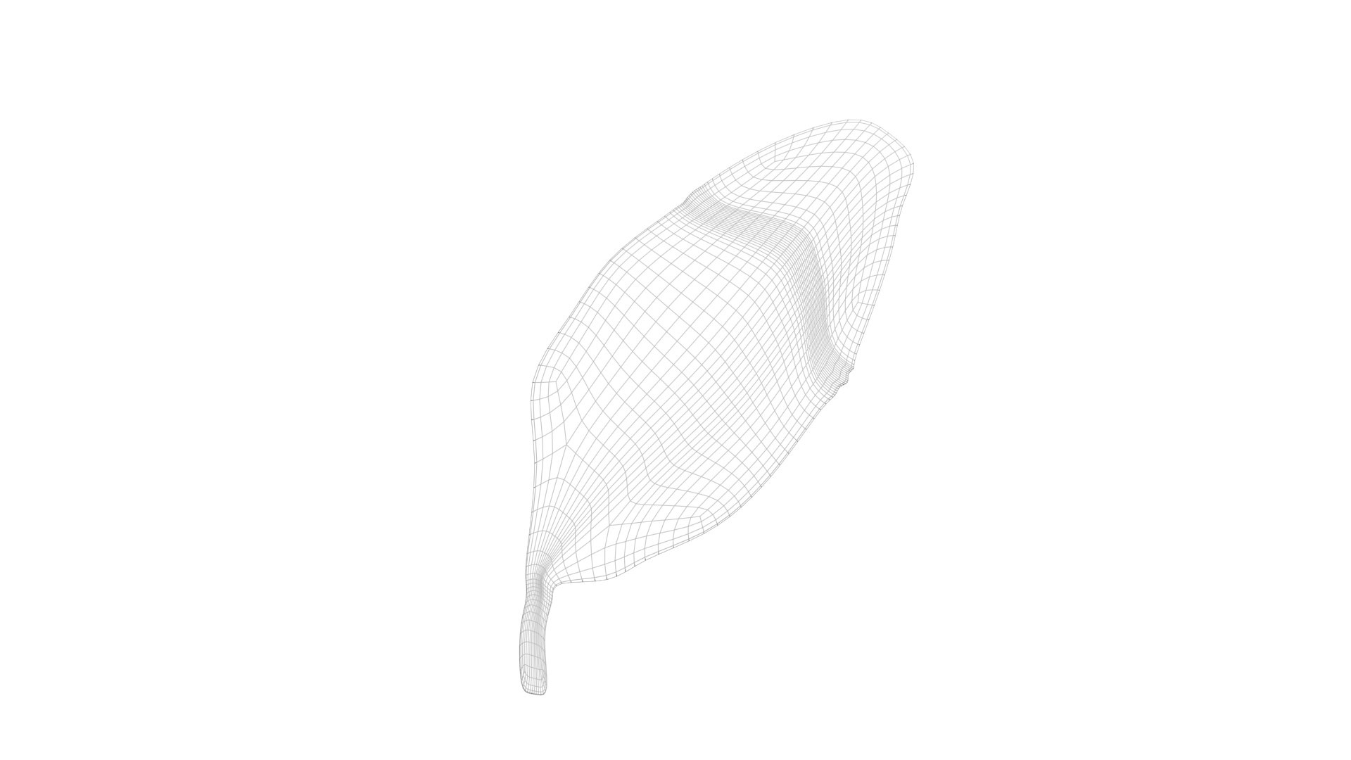 3D Fresh Basil Leaf https://p.turbosquid.com/ts-thumb/eN/qhrgSR/Cp/basil20/jpg/1730660401/1920x1080/fit_q87/fd1dbcc8a4e49508e3929754468ce1a3045299f7/basil20.jpg