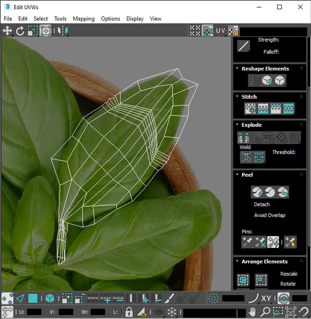 3D Fresh Basil Leaf https://p.turbosquid.com/ts-thumb/eN/qhrgSR/E8/screenshot20220923215157/png/1730660464/1920x1080/fit_q87/7eb0a8af972162867fceeee4ab20d7bb2d0ac11e/screenshot20220923215157.jpg