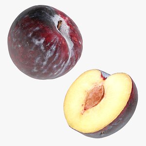 3D model Plum Black