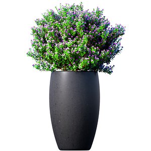Decorative garden tree flowerbed shrub Indoor plant balcony 3D model