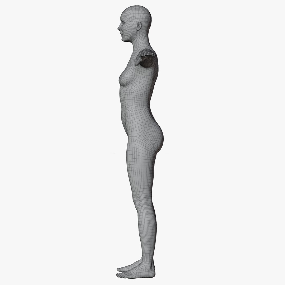 Rigged Female Mannequin 3D https://p.turbosquid.com/ts-thumb/eN/vFQHdq/03/wire3nopose/png/1716435595/1920x1080/fit_q87/00bf08c5ba008e08f177e5759bafe6f0fdbe44b6/wire3nopose.jpg