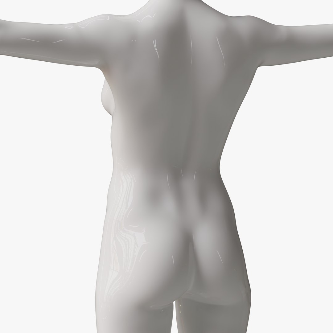 Rigged Female Mannequin 3D https://p.turbosquid.com/ts-thumb/eN/vFQHdq/3t/addfemale3/png/1716435633/1920x1080/fit_q87/3d3ea0b359cc84e345ac8e9ca83ec74c93455501/addfemale3.jpg