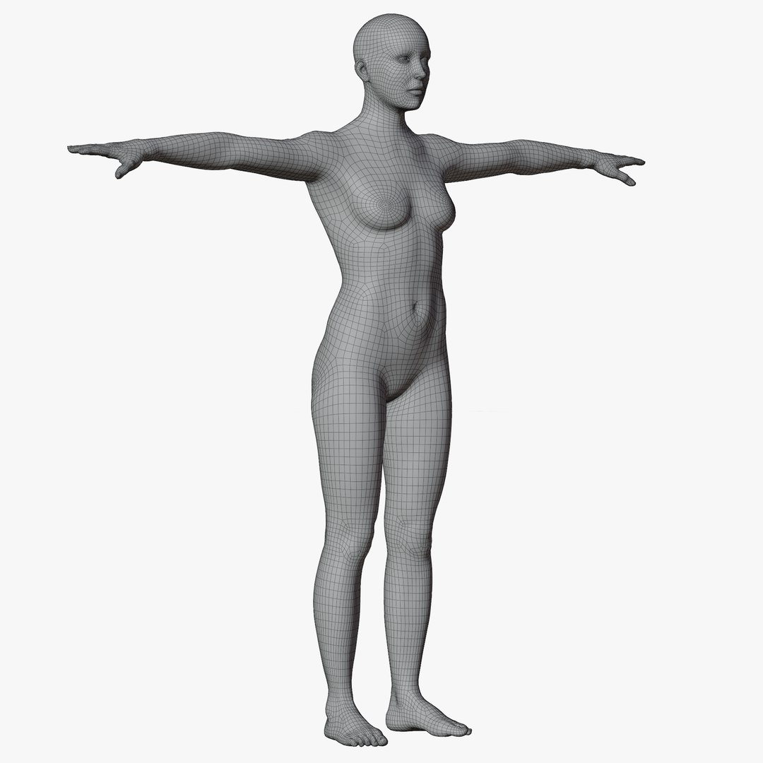 Rigged Female Mannequin 3D https://p.turbosquid.com/ts-thumb/eN/vFQHdq/8j/wire8nopose/png/1716435597/1920x1080/fit_q87/f98d860fa51b66d35d9425785291bd5562dec478/wire8nopose.jpg