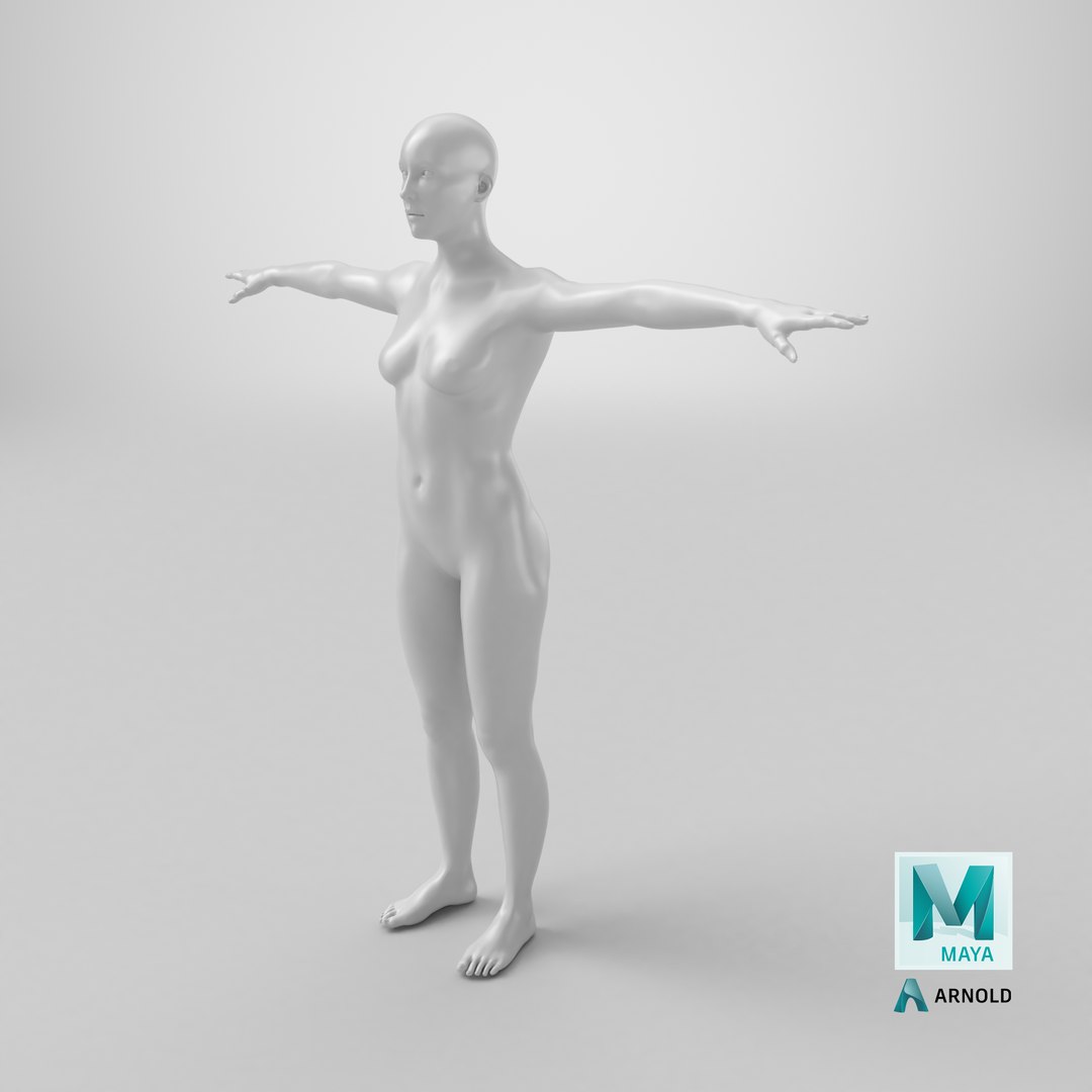 Rigged Female Mannequin 3D https://p.turbosquid.com/ts-thumb/eN/vFQHdq/Dr/stemcell_maya_arnold_render/png/1731596553/1920x1080/fit_q87/cb15f0100cf37df7831e54a342a0ef21c937d876/stemcell_maya_arnold_render.jpg
