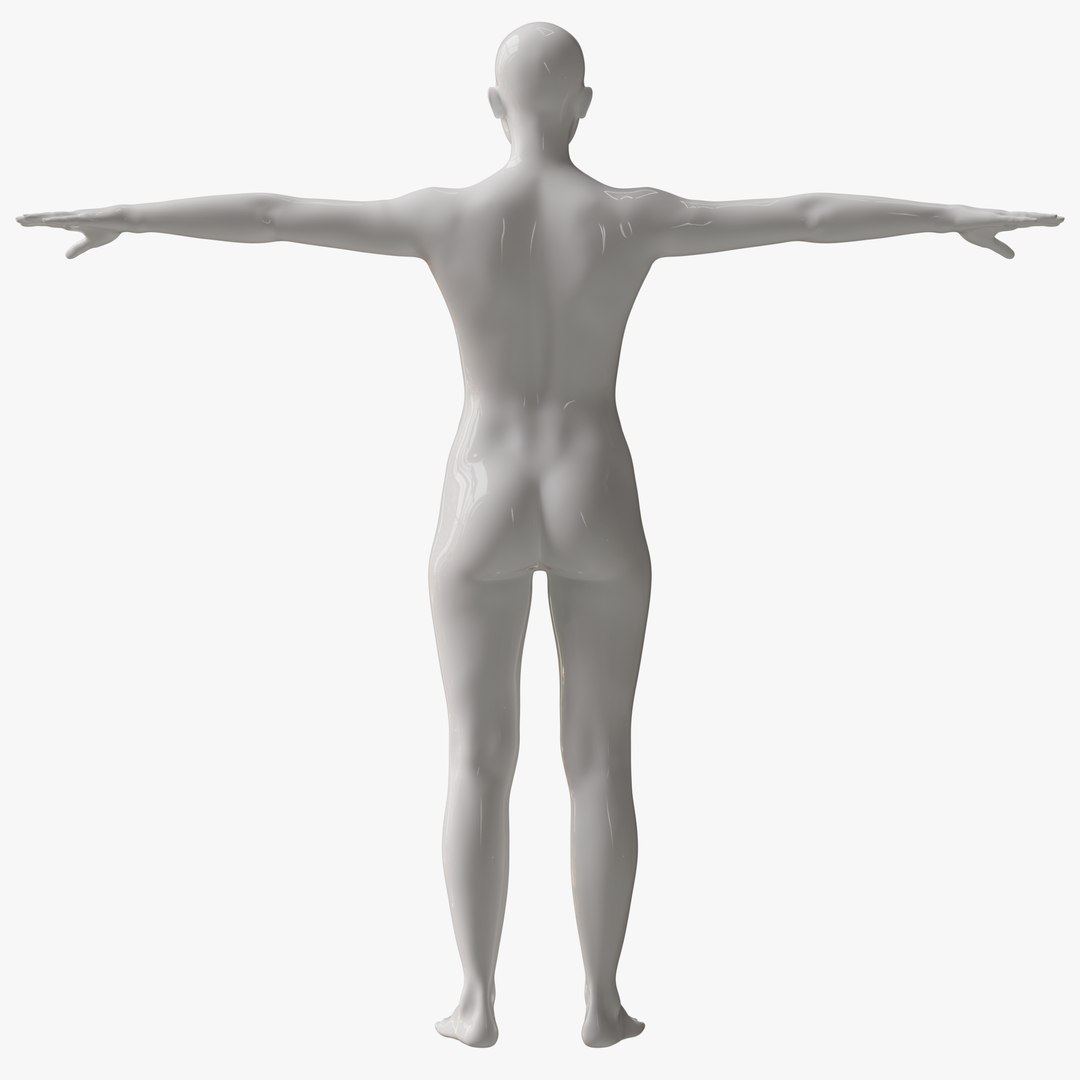 Rigged Female Mannequin 3D https://p.turbosquid.com/ts-thumb/eN/vFQHdq/JE/37nopose/png/1716435575/1920x1080/fit_q87/cd6c3e10bc754387db51394526d19586e7c2bca7/37nopose.jpg