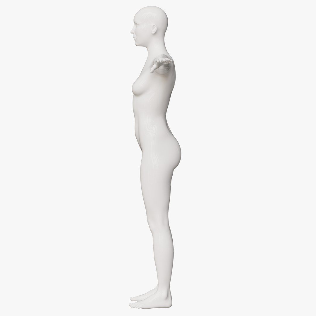 Rigged Female Mannequin 3D https://p.turbosquid.com/ts-thumb/eN/vFQHdq/LL/19nopose/png/1716435576/1920x1080/fit_q87/ccc80d3cc3b2ad1147342bae37d88de776066994/19nopose.jpg