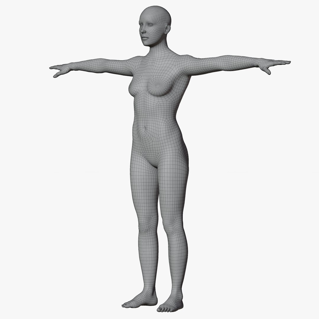 Rigged Female Mannequin 3D https://p.turbosquid.com/ts-thumb/eN/vFQHdq/SF/wire2nopose/png/1716435592/1920x1080/fit_q87/fa27bc1847a3acb9b6a99194bbbb622cb6596d02/wire2nopose.jpg
