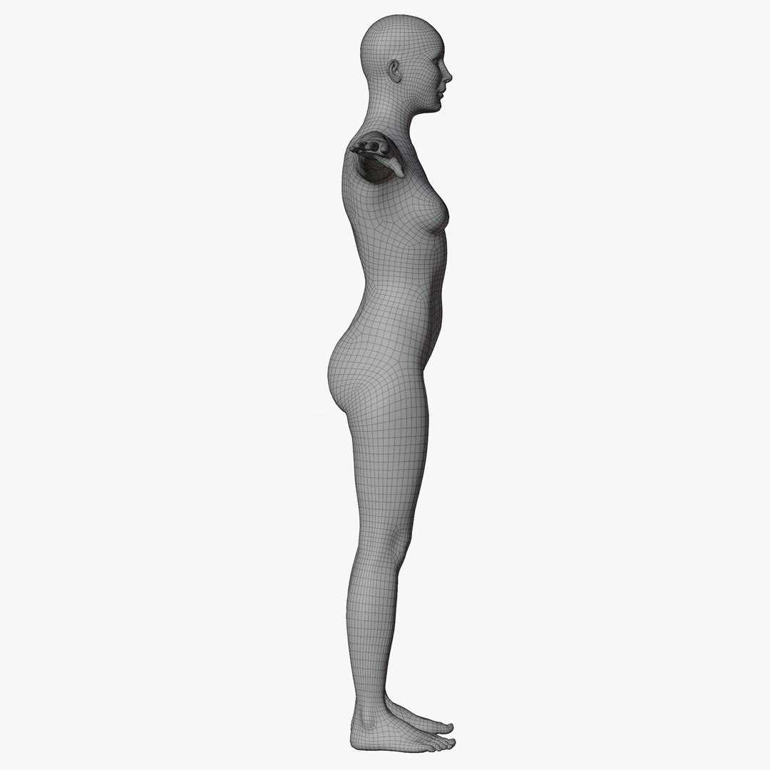 Rigged Female Mannequin 3D https://p.turbosquid.com/ts-thumb/eN/vFQHdq/a6/wire7nopose/png/1716435597/1920x1080/fit_q87/2c6dfc4a174792bed517c799ef84b3107e7725e7/wire7nopose.jpg
