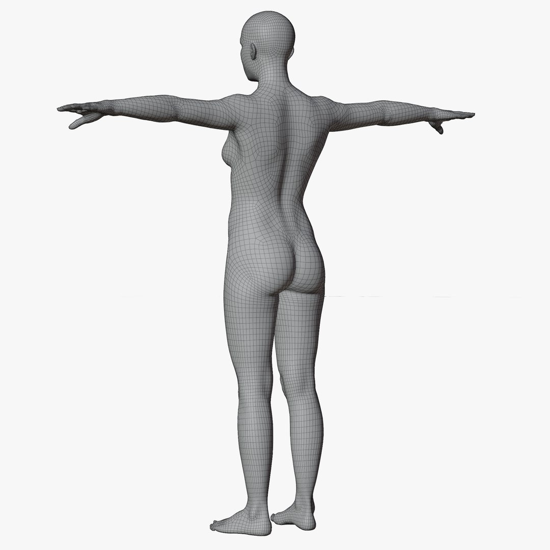 Rigged Female Mannequin 3D https://p.turbosquid.com/ts-thumb/eN/vFQHdq/hE/wire4nopose/png/1716435594/1920x1080/fit_q87/a22f2b993827d04e128dcc5517c1ff593a9b28cf/wire4nopose.jpg