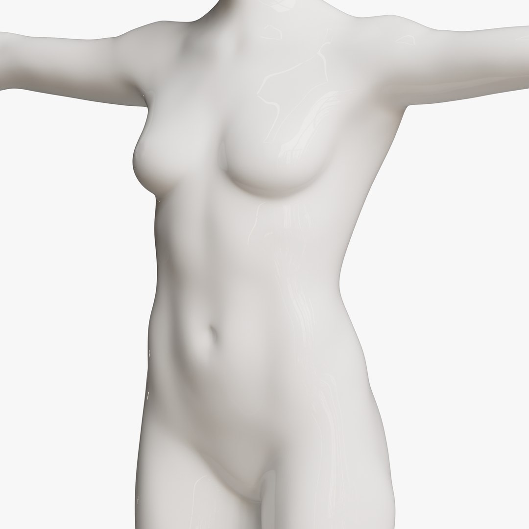 Rigged Female Mannequin 3D https://p.turbosquid.com/ts-thumb/eN/vFQHdq/lb/addfemale2/png/1716435632/1920x1080/fit_q87/47d992eeefd2722ca64d20a98796bd801d926e14/addfemale2.jpg