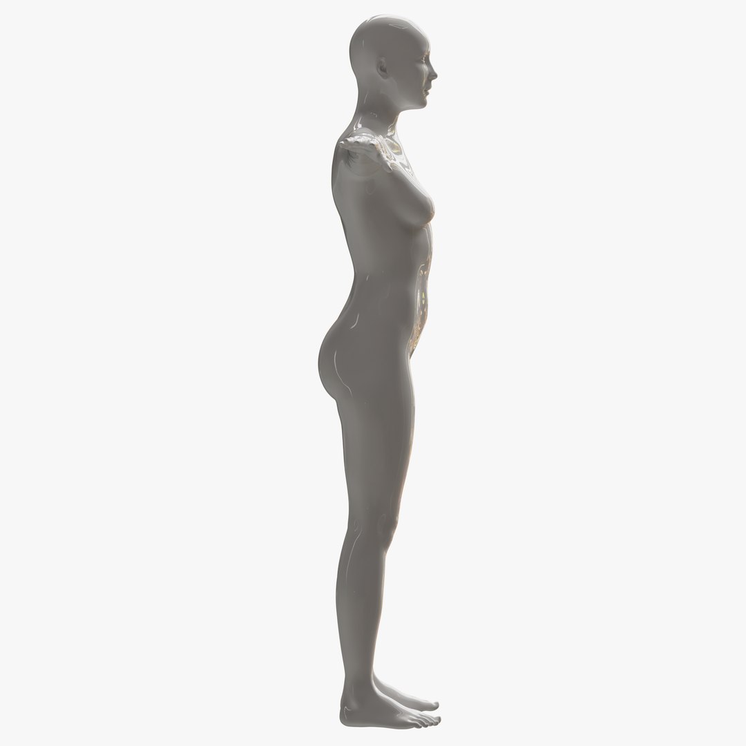 Rigged Female Mannequin 3D https://p.turbosquid.com/ts-thumb/eN/vFQHdq/uk/55nopose/png/1716435574/1920x1080/fit_q87/6ce1aa56e3fcbe59b15e5af3a9895f427d8cc64d/55nopose.jpg