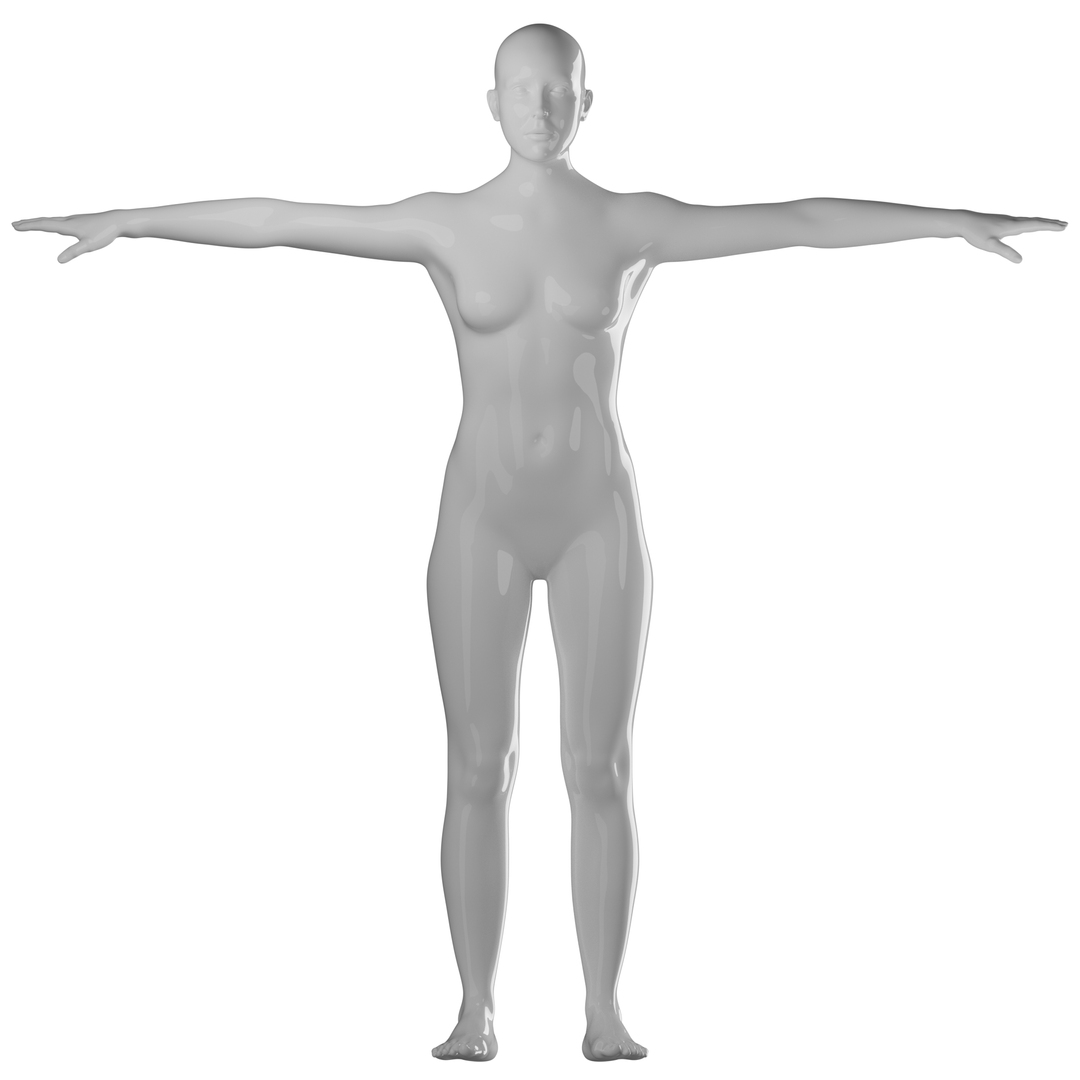 Rigged Female Mannequin 3D https://p.turbosquid.com/ts-thumb/eN/vFQHdq/yk/female360nopose/png/1716435766/1920x1080/turn_fit_q99/20132bf20ff924a03c2df787108573ef6e6242e0/female360nopose-1.jpg