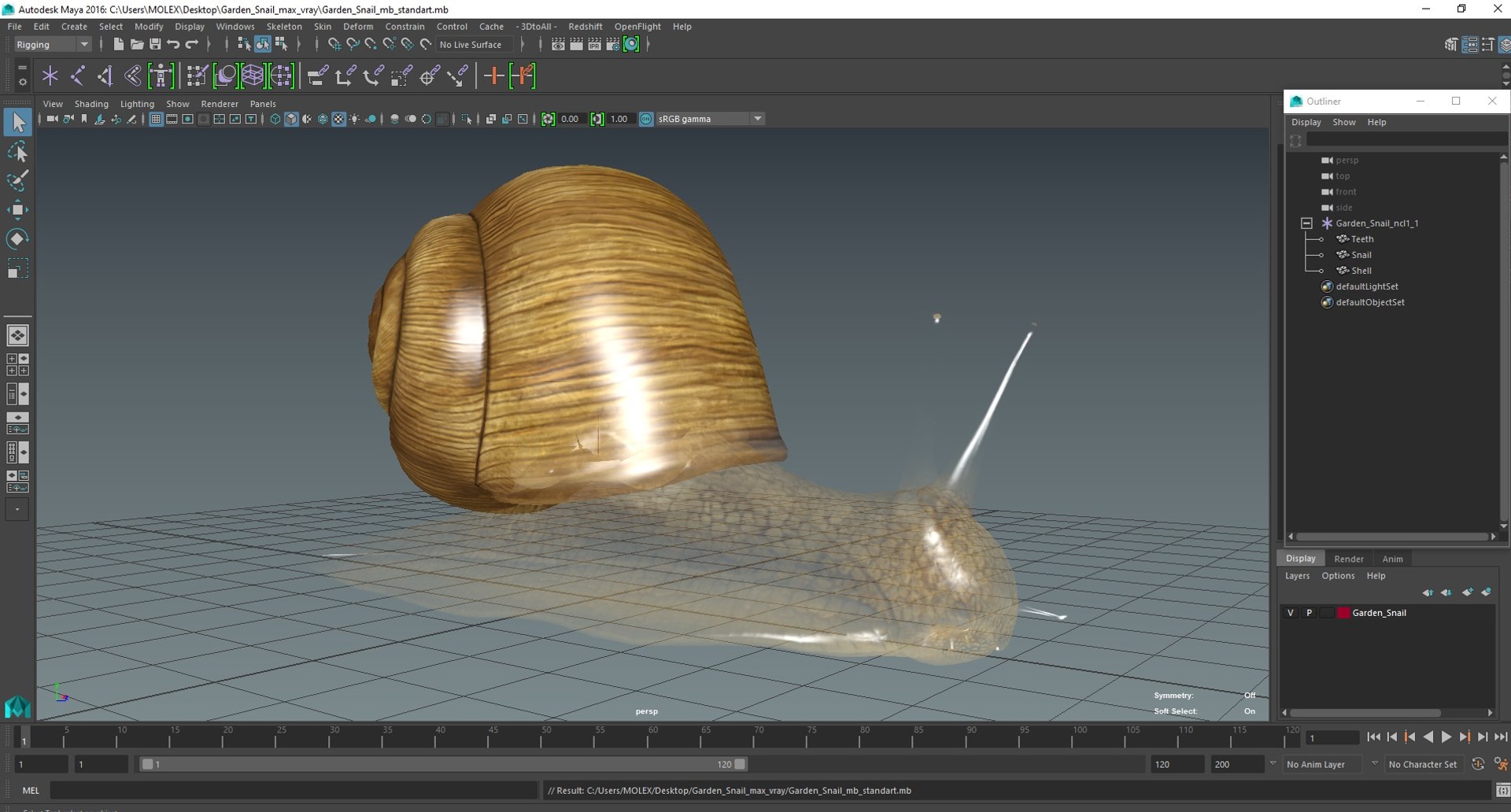 3D Model Garden Snail - TurboSquid 2184718