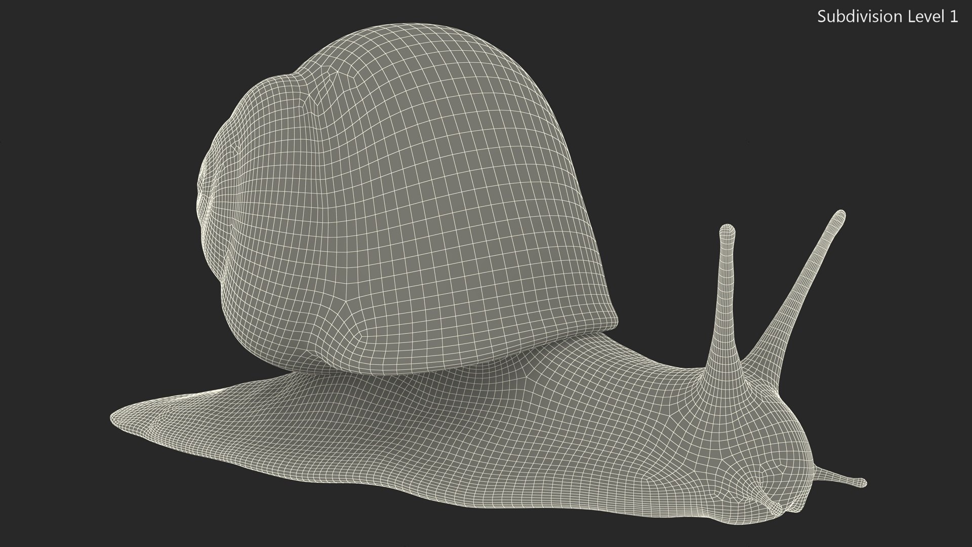 3D Model Garden Snail - TurboSquid 2184718