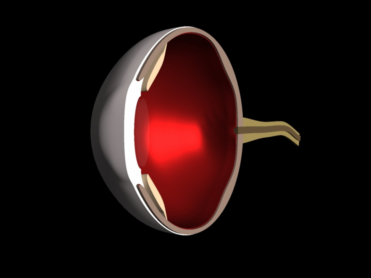 3dsmax Body Eye