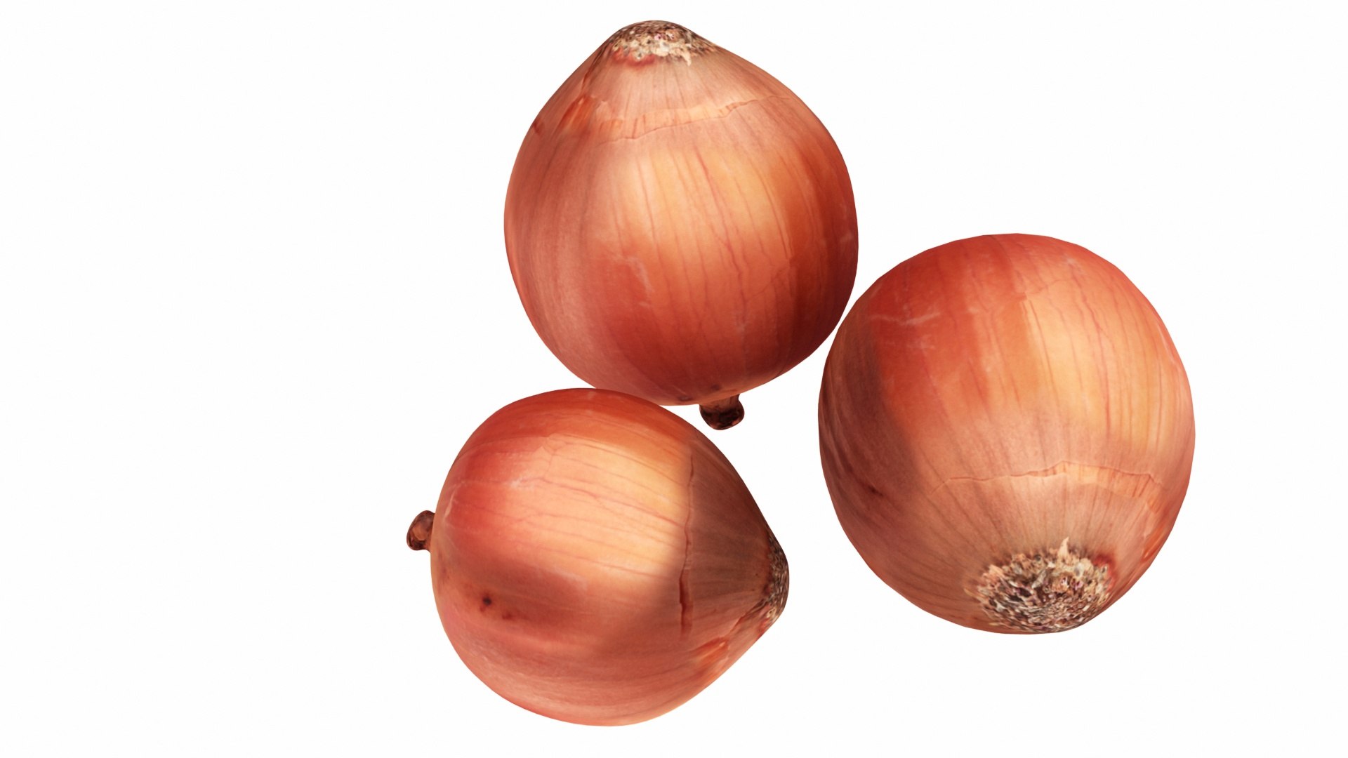 vegatable fruit 8 1 3D model https://p.turbosquid.com/ts-thumb/eO/497285/7X2ylXVq/0onion3/jpg/1587226848/1920x1080/fit_q87/ddf0b452455d30698cf7ed3fcc278807d3b224ec/0onion3.jpg