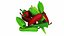 Vegatable and Fruit Collection 8 in 1