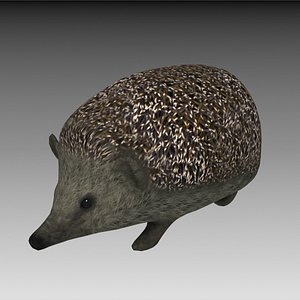 hedgehog 3d model
